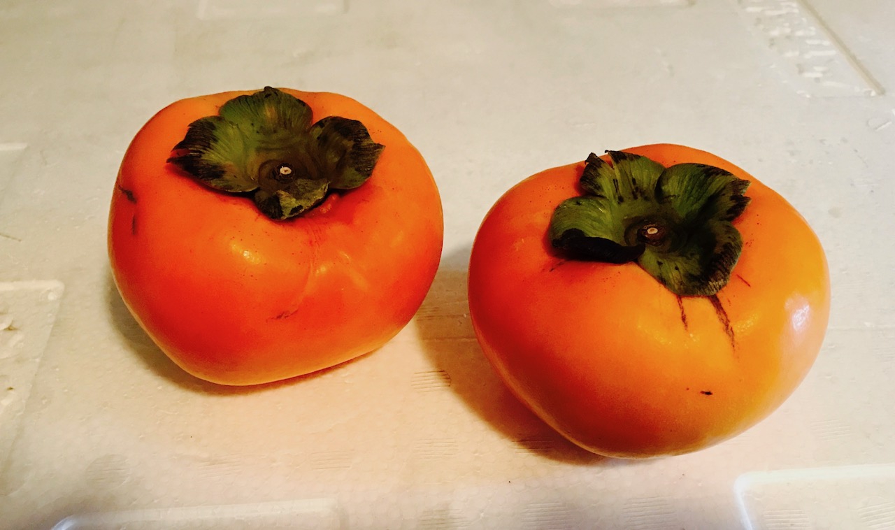 写真2-2-2　形の揃った富有柿