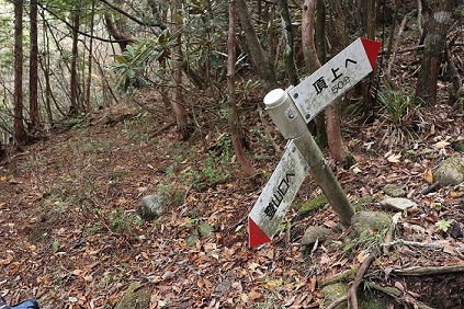 写真2-3-7　赤石鉱山跡への目印「頂上まで50分」標識