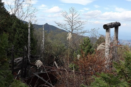 写真2-3-9　赤石鉱山跡に残された索道の支柱