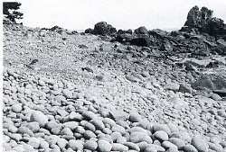 写真2-1-18　ゴロゴロ石の集積した海岸
