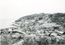 写真3-2-12　青島の集落と耕地