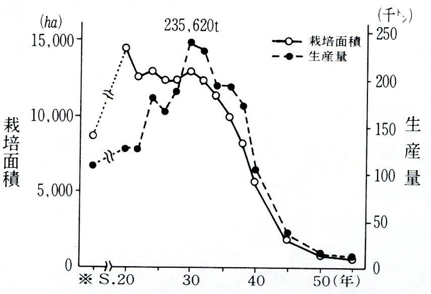 図表1-2-4　愛媛県下における甘藷の作付面積と収穫量