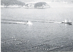 写真1-3-15　須崎観音の眼下の三瓶湾から出漁していく巻き網漁船