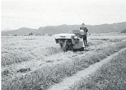 写真2-1-5　コンバインによる収穫作業