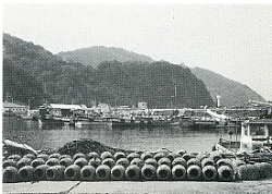 写真1-2-6　篠塚漁港に並ぶタコつぼ