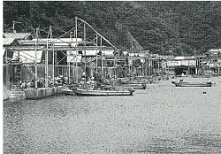 写真1-2-36　現在の魚神山漁港